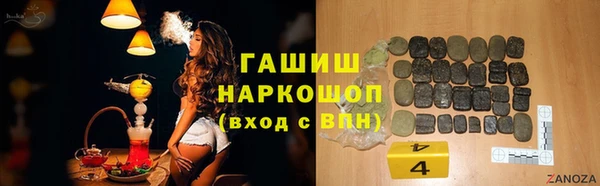 гидра Братск