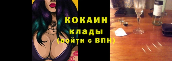 твердый Гусь-Хрустальный