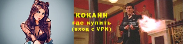 тгк Гусев