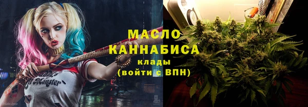 твердый Гусь-Хрустальный