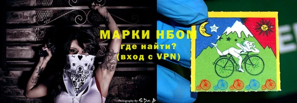тгк Гусев