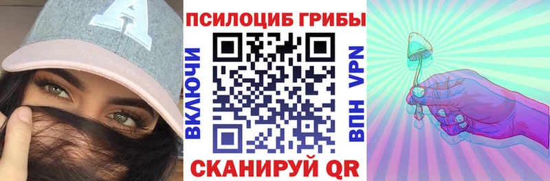 купить наркоту  Дивногорск  Галлюциногенные грибы мицелий 